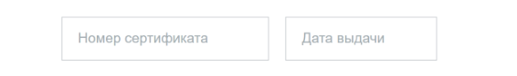Вводим дату выдачи свидетельства